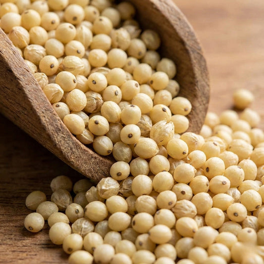 Close up of raw, unpolished Barnyard Millet Samak rice for fasting.