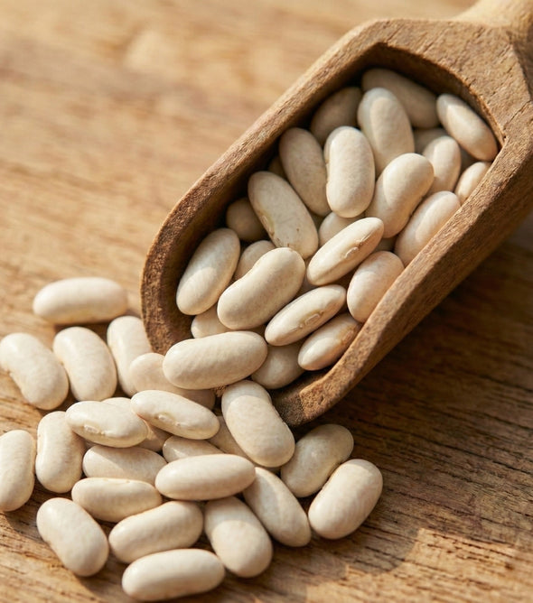 Superfarmers Premium Himalayan White Kidney Beans (Pahadi Munsiyari Rajma) – Unpolished (500g)