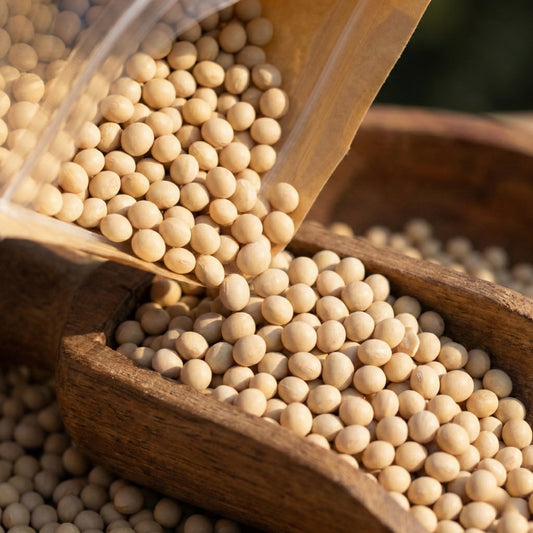 Superfarmers Premium Himalayan White Soybean (Pahadi Safed Soyabean) – Whole & Unpolished (500g)