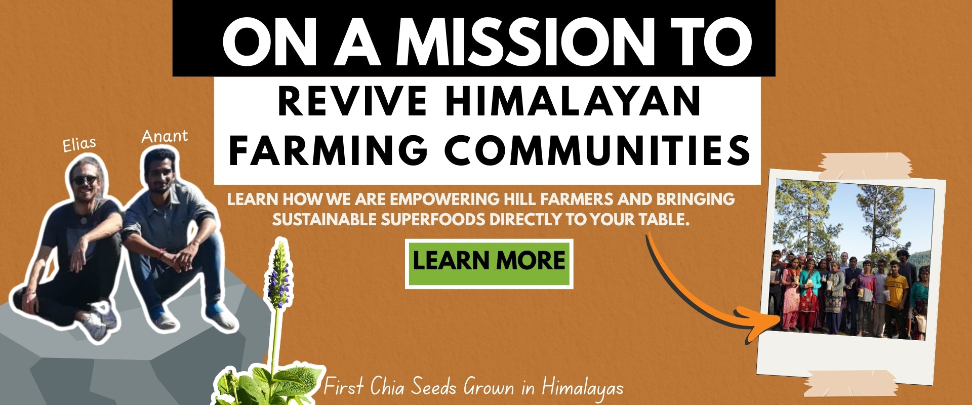 Superfarmers Campaign